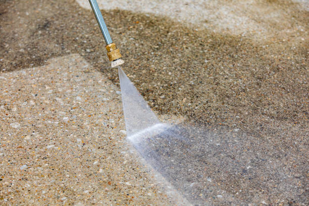 Best Dumpster Area Cleaning  in Woodland Beach, MI