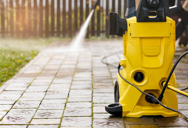 Best Sidewalk and Walkway Cleaning  in Woodland Beach, MI